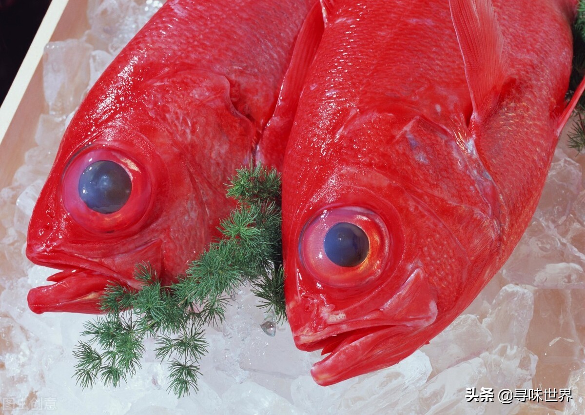 海鱼有哪些人工养殖不了的,不能人工养殖的海鱼市场上有哪些