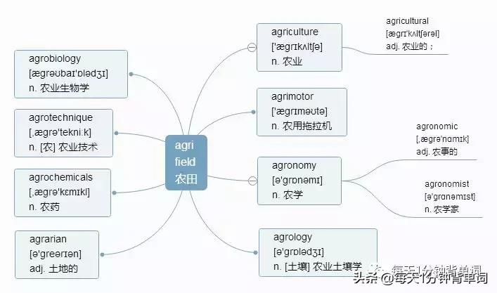背单词词根词缀方法,词根背单词从哪里开始