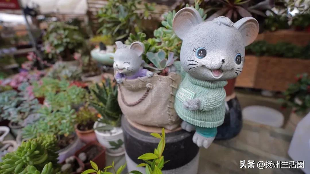 2元花盆批发,2元左右的花盆