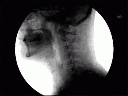 科普张姿势动图GIF：感觉自己姿势又涨了100点