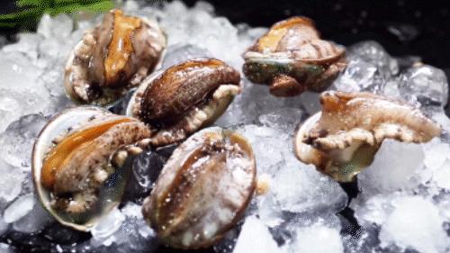 新鲜海鲜保存是冷冻好还是冷藏好,海鲜是煮熟了保存还是生的保存