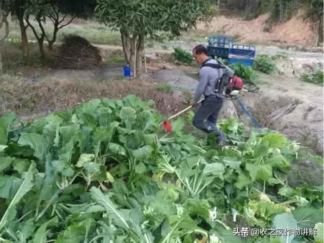 农药伴侣套装增效剂,农药伴侣增效剂