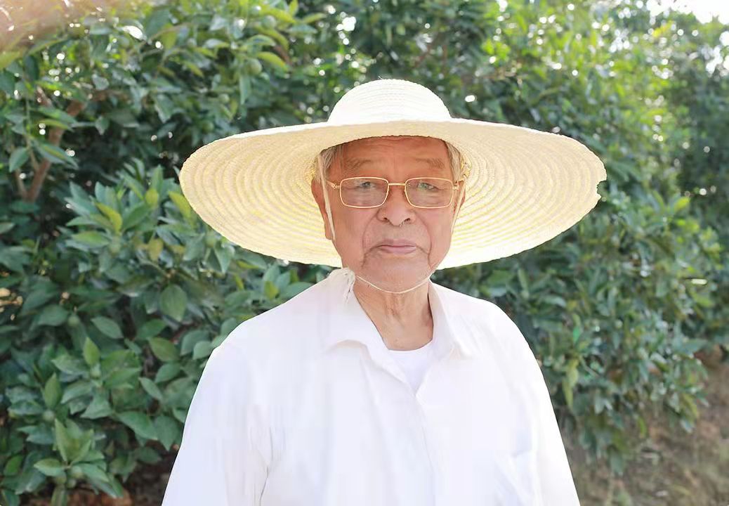 不是每一种橙子都叫赣南脐橙,褚橙和冰糖橙有什么区别