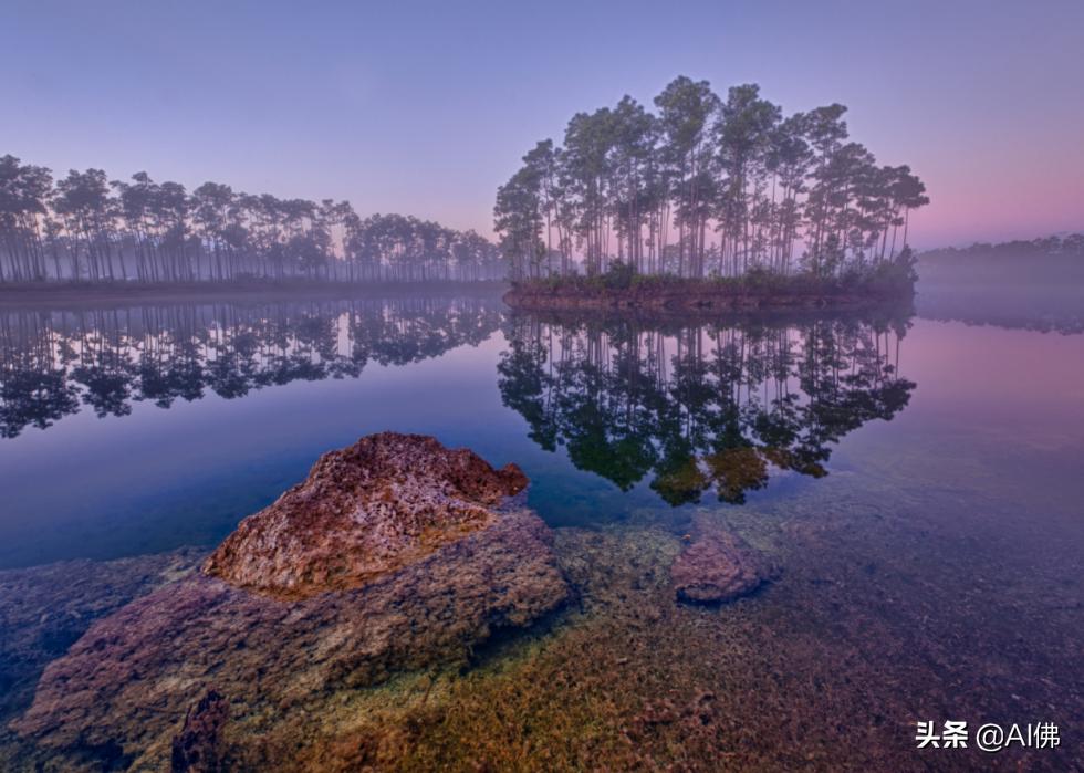 美国最受欢迎的五个州,美国最受欢迎的景点排行榜