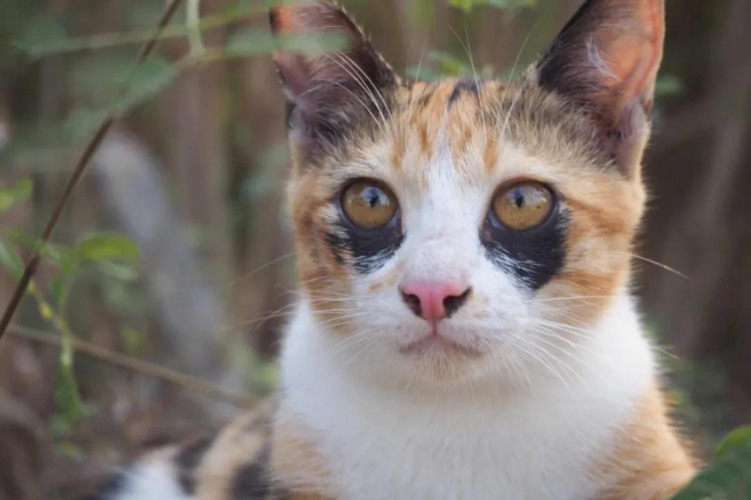 你的黑眼圈找到救星了吗,你的黑眼圈可能都是它惹的祸