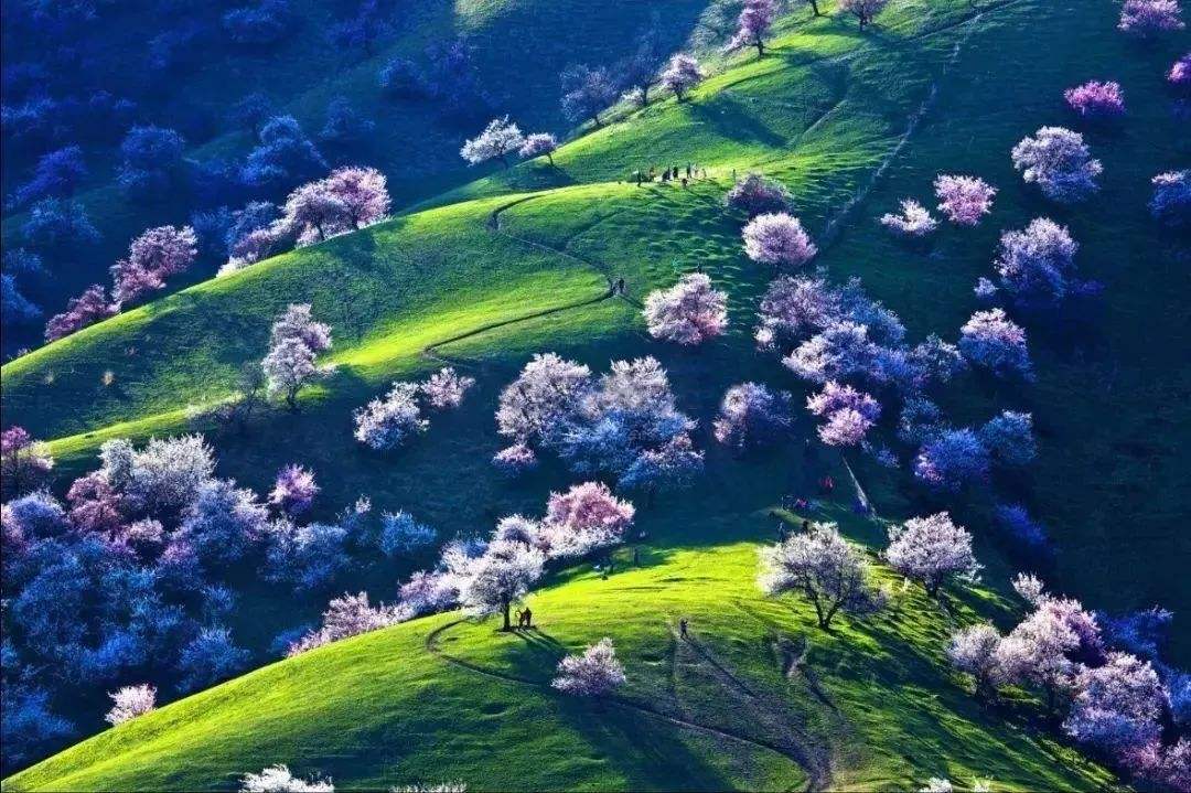 你是人间最美四月天的诗句,你是人间的四月天诗文