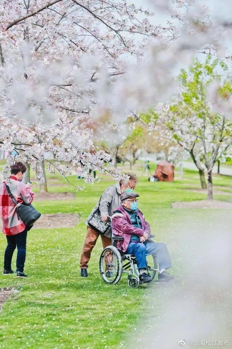 是心动啊，樱樱樱樱樱樱樱樱樱