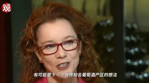 为什么不同产区的葡萄酒差别很大,为什么喜欢喝进口啤酒