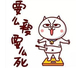 yplus最新,ypl系列产品盘点