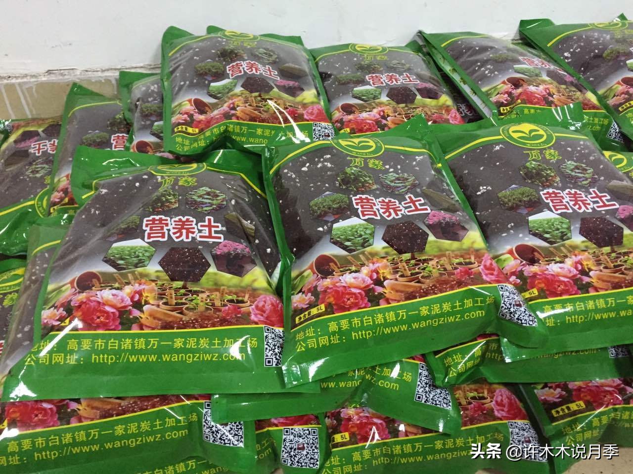 养好月季6大诀窍，附带配土、浇水、施肥详细教程。助你花开满园