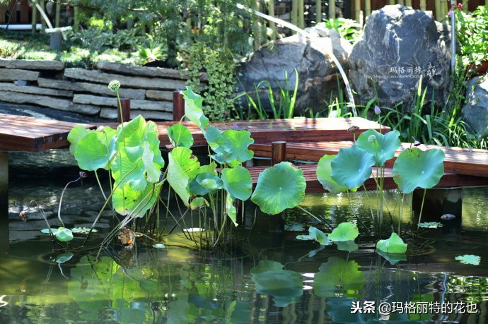 这座半山半水的土豪庭院，成了大多数男人的梦想｜花园拜访