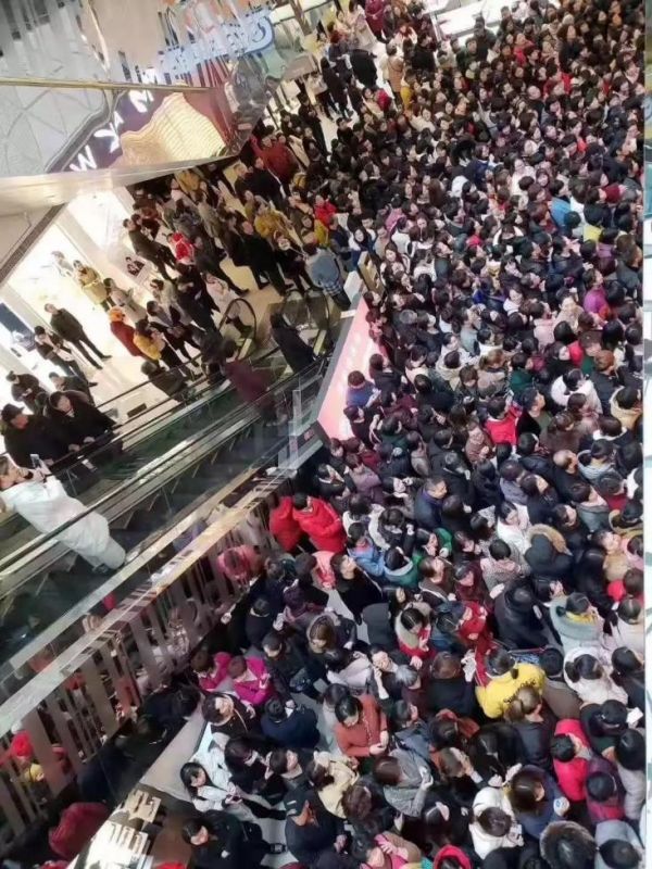 白小t官方卫衣,白小t套装