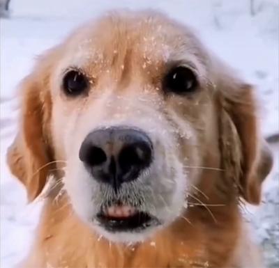 购买定制版劳斯莱斯过程 (劳斯莱斯车源套路)