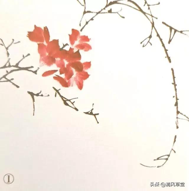 少儿国画花卉画法视频,各种花卉的100种画法