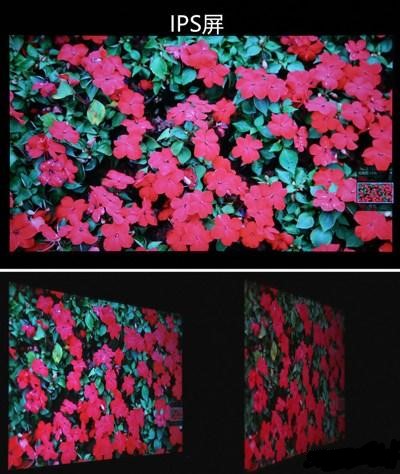 ipsvatn屏幕哪个不伤眼,怎么看屏幕是ips还是tn