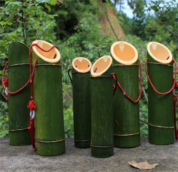 白酒灌进竹子里面会变质吗,酒倒入竹子竹子还能活吗