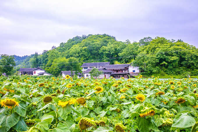 四川古蜀寻芳之幻梦朝天游玩攻略,都江堰古蜀寻芳