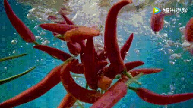 明星投毒吓人事件,深夜放毒招人恨的视频