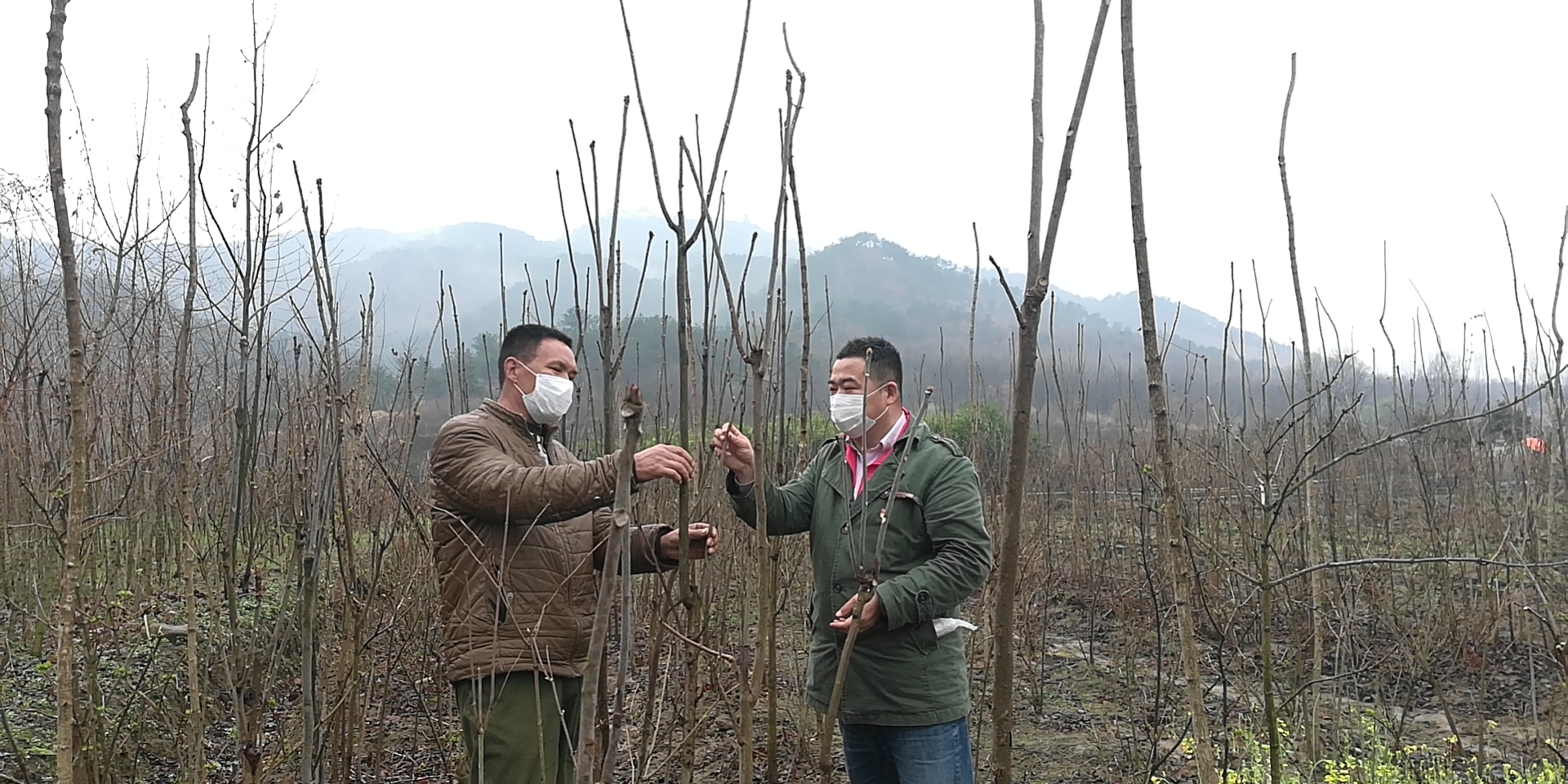 驻村第一书记不忘初心抗击疫情,桐柏县第一驻村书记