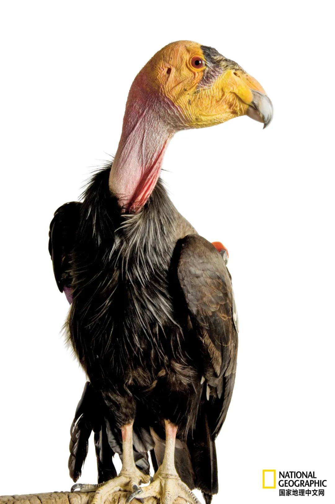 我们的地球很老了吗,地球还能再活几岁