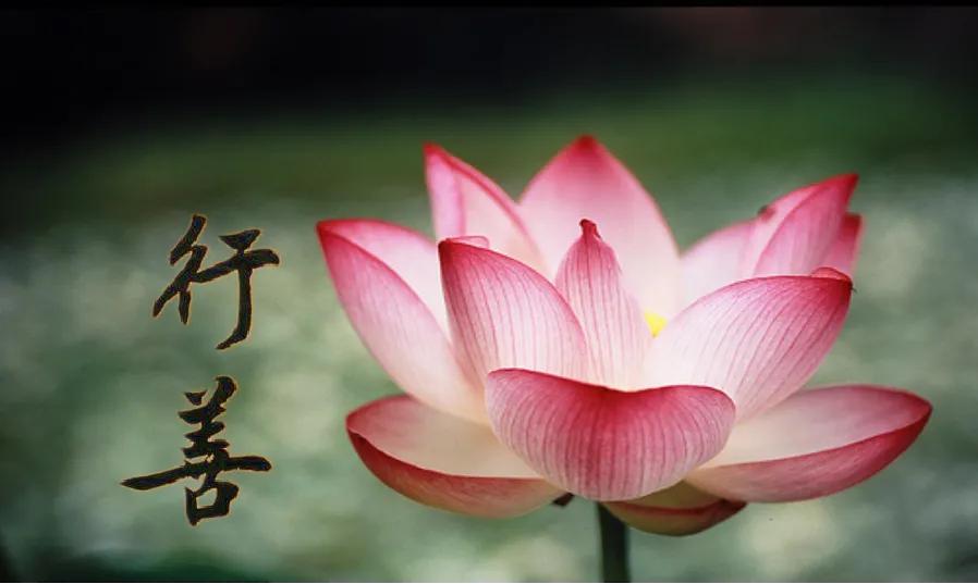 行善不是为了行善而行善,行善之人不要为了行善而行善