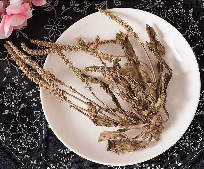 路边的野草是个宝,不起眼的野草车前草