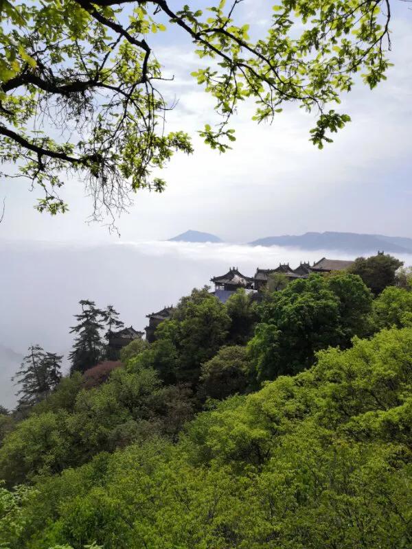 手拍世界,手拍世界作品专集