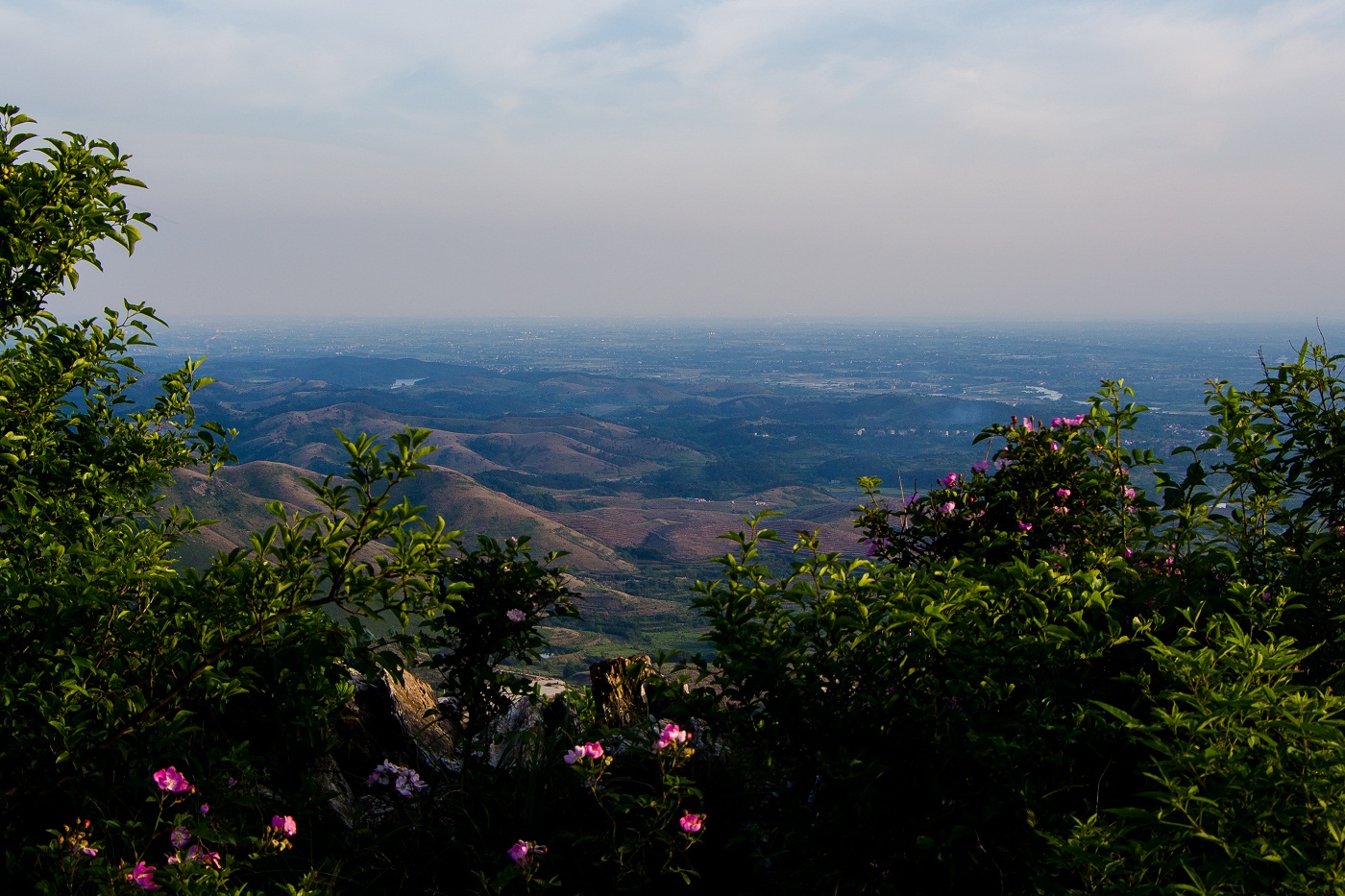 龙王尖遗址游玩攻略,武汉龙王尖在哪里