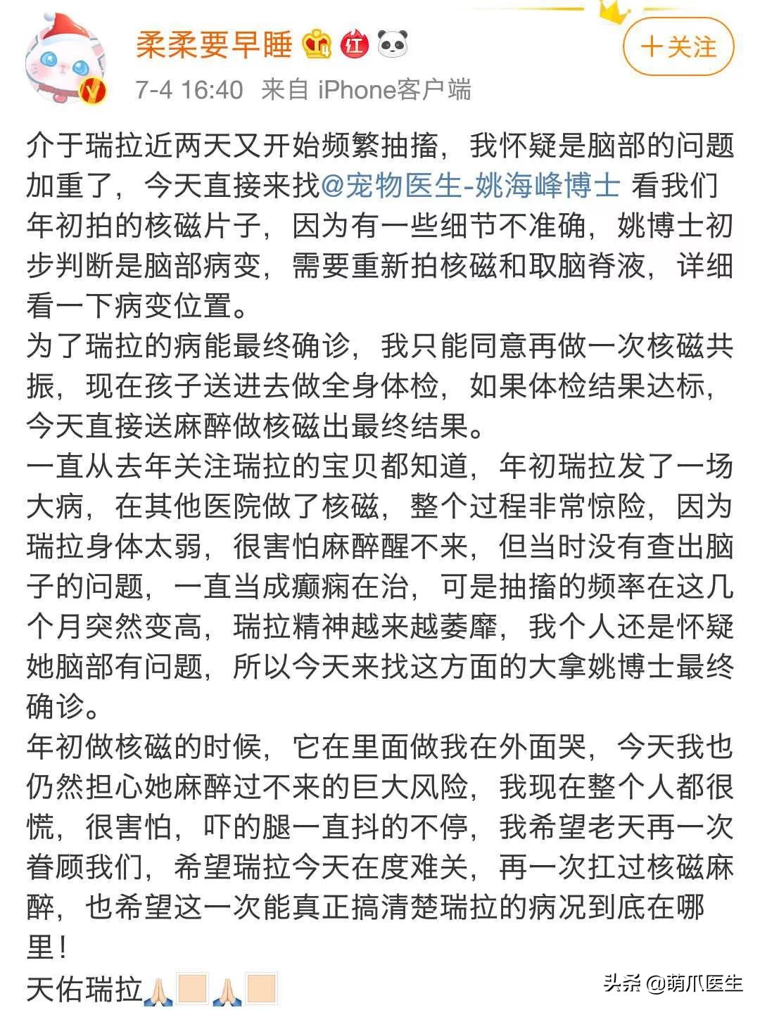 你见过猫咪的眼睛吗,你见过猫咪这种眼神吗