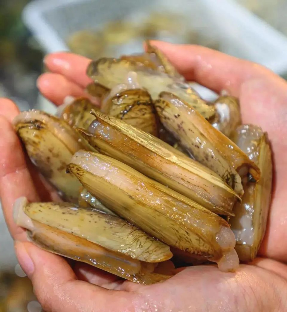 大渔铁板烧里的芝士扇贝,日式铁板烧芝士焗大虾