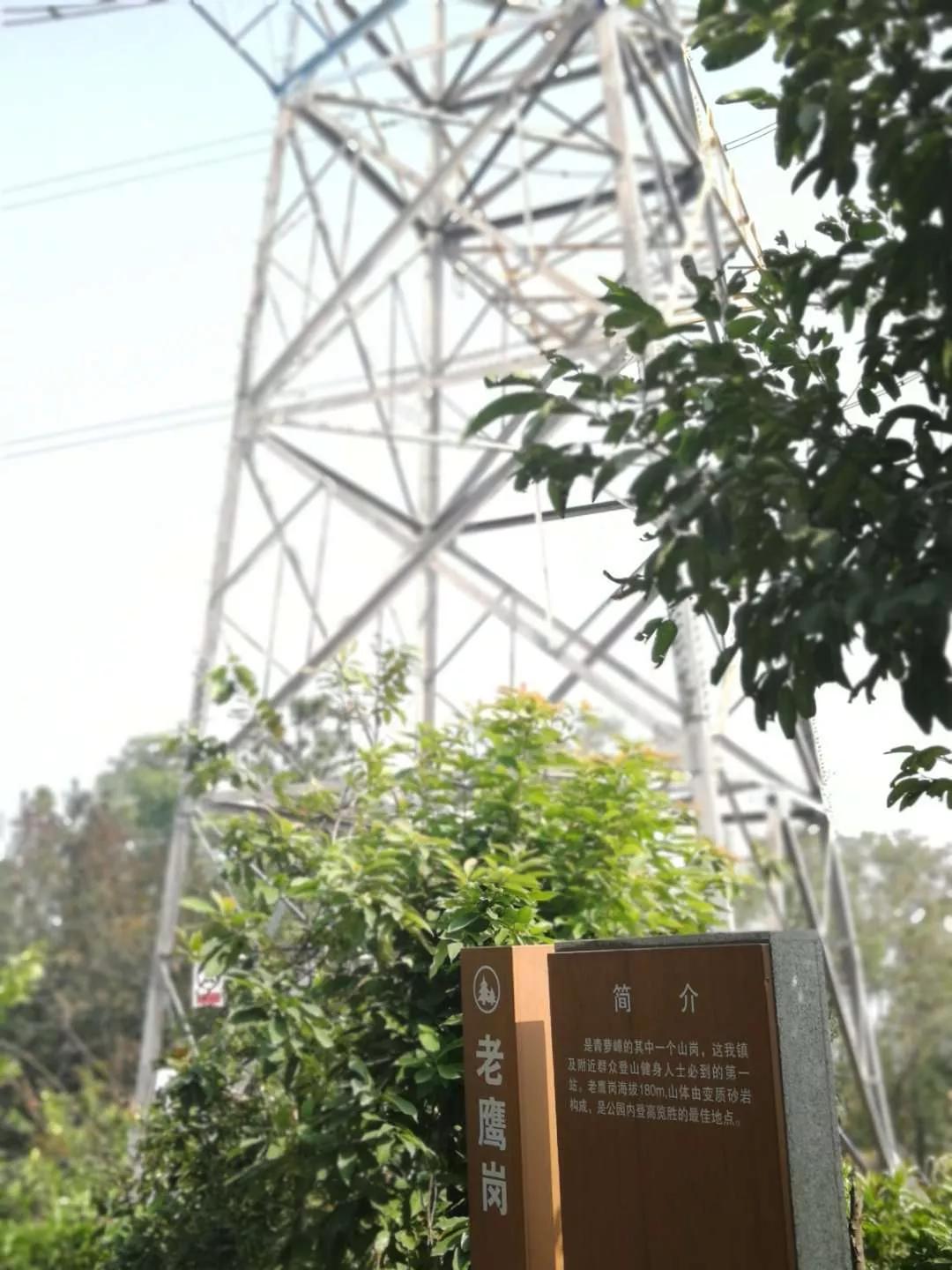 番禺南站旅游攻略,广州3号线地铁番禺旅游攻略