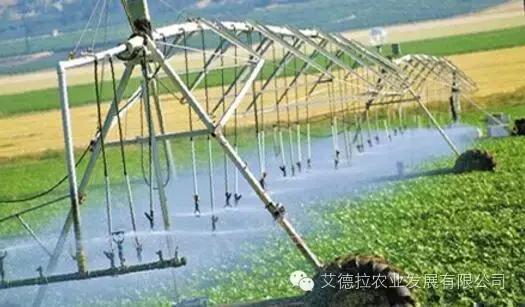 农业水溶肥发展趋势,水溶肥料行业现状和前景