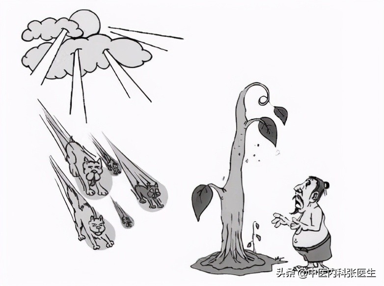 五“毒”月，避“六”邪，排“七”毒，让你一年安康