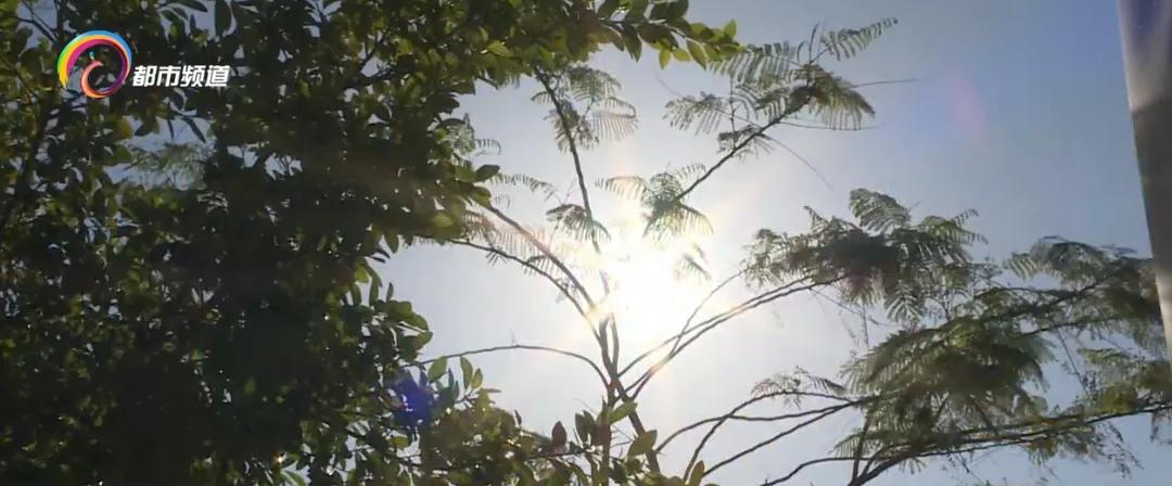 快过期的防晒伞能用吗,太阳防晒霜保质期