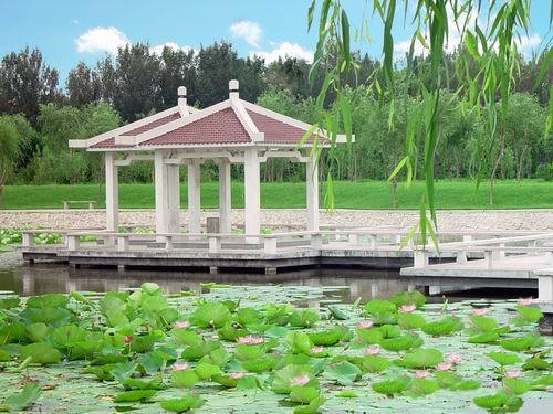 沈阳公办本科大学有哪些被忽略,沈阳低分学校