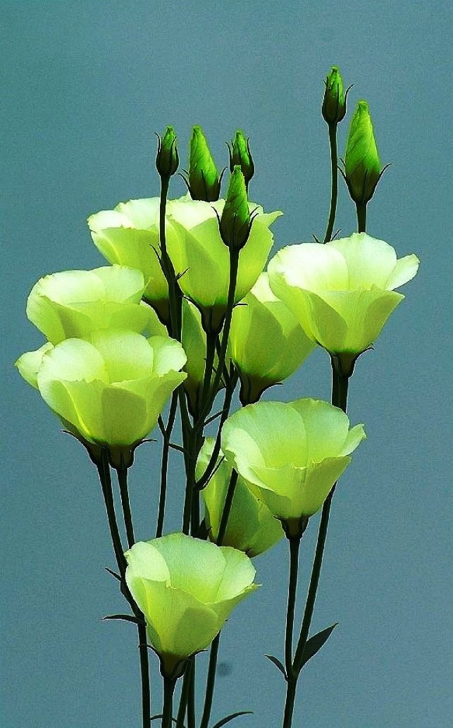 醒悟人生的句子透彻走心句句受益,看透人生醒悟的句子