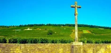 红酒怎么辨别真的假酒呢,红酒上的假酒有哪些