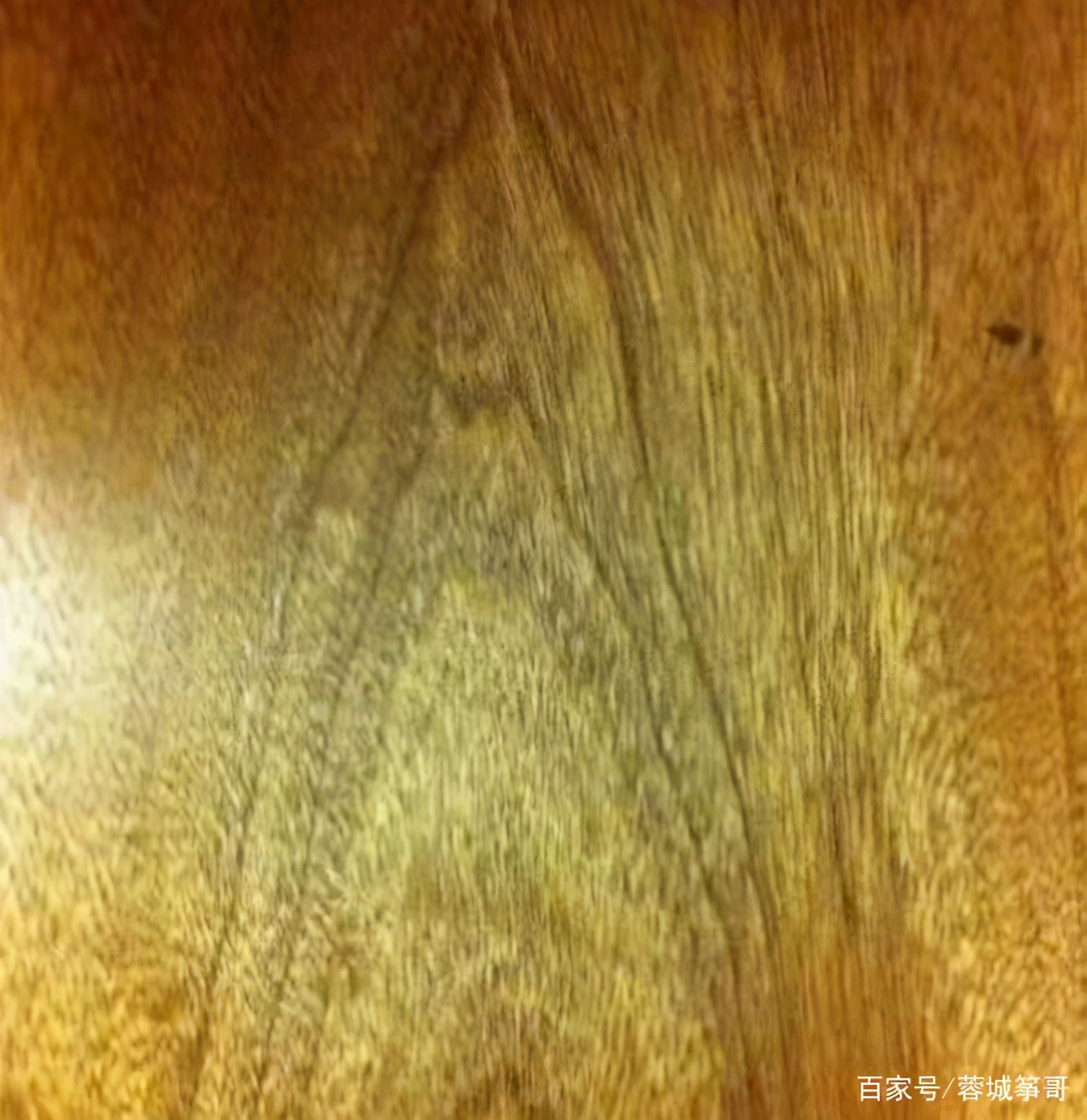 金丝楠之美、疗、藏丨筝哥艺述