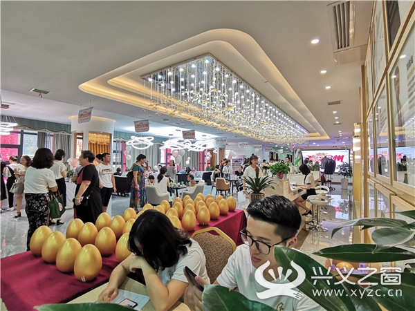 时光整形开业盛典,时光整形外科医院