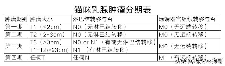 猫咪乳腺炎肿块一般多久才会消掉,猫奴都该知道的猫咪医疗保健知识