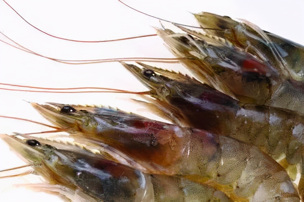 菜市场这4种虾千万不要买,在超市买活虾能不能挑