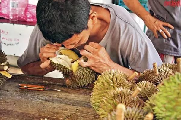 马来西亚哪里榴莲好吃又便宜,马来西亚39块钱榴莲自助