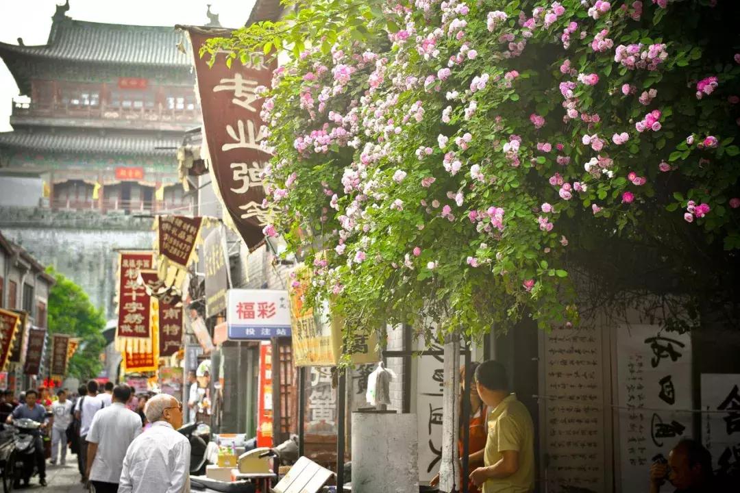 洛阳牡丹花会邀请,洛阳邀请全世界人民看牡丹