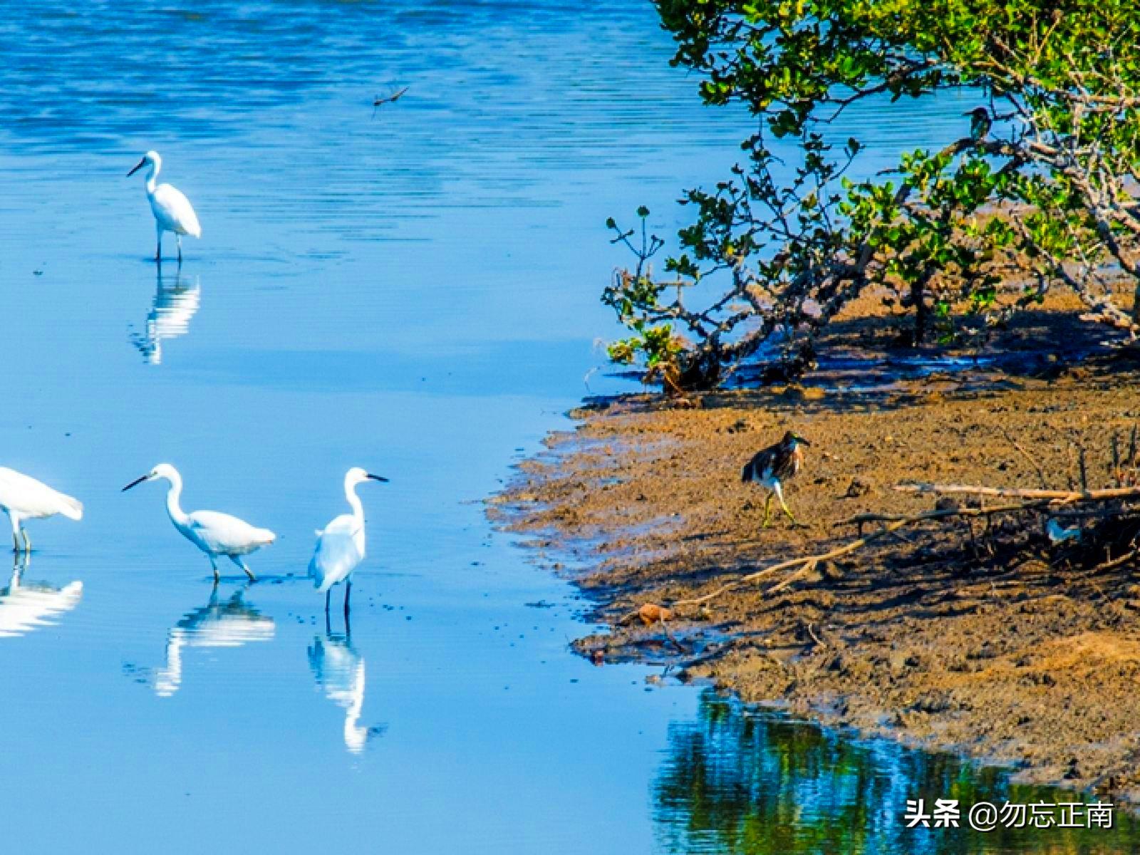 中国海滨城市北海,北海一座来了不想走的城市
