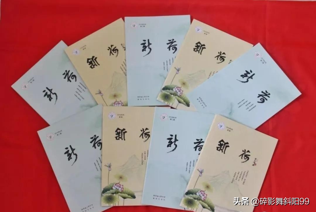 十几年前的乡镇中学：唯书有色，秀于百卉