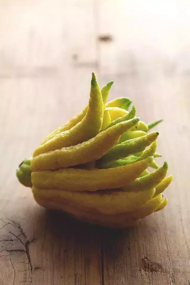 啥是佛手,五种佛手