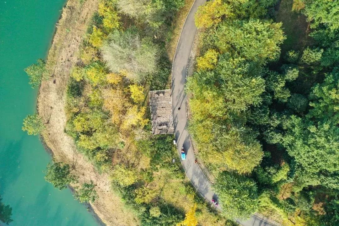 成都最有潜力的花园,成都是个大花园