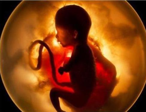 刚出生宝宝排便多少次才正常,新生儿排便次数多且绿色