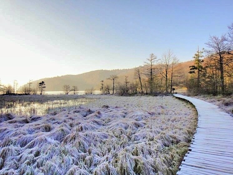 锣声喧响,锣声响起来