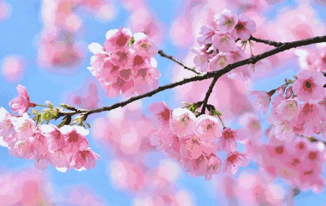 广州凉爽又好玩公园在哪里,夏季广州公园游玩攻略